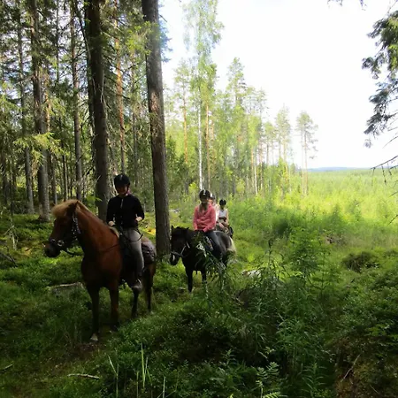 Rantakorpi Farm * Niemisjaervi